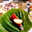 청정셀프회마차 이미지