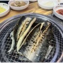 폭풍장어 이미지