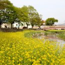 금산농협 금성지점 이미지