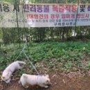 봉성산 공원 이미지
