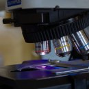 모아 광학 이미지