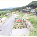 신동지낚시터 이미지