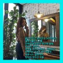 미르게임즈 이미지