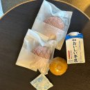 딸기짐 | 후쿠오카 빵집 추천 이토킹 딸기빵 메론빵 딸기모찌 텐진 지하상가 빵 맛집 내돈내산 후기.