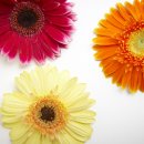 박신혜유외과의원 이미지