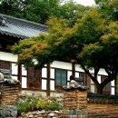 마곡사1 이미지