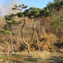 지리산 농장 이미지