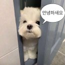 마미호시 | 틈