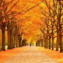 이룸의원 이미지