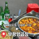 부평양곱창Ⅱ | 부산 남포동 양곱창 맛집 부평양곱창 후기 | 자갈치역 부평깡통시장 야장