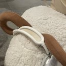 이리온동물병원 아브뉴프랑 판교점 | 인생을 막 살고 싶은데 문제가 될까요?