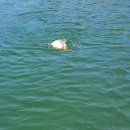 폭포낚시터 이미지