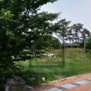 제2산업단지 | 달성군 대구 제2국가산업단지 배후지 화원옥포IC 인근 투자용 매매 대구 달성군 옥포읍 교항리 매매...