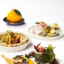 슈치쿠(SHUCHIKU) 이미지