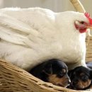 디아PC방 이미지