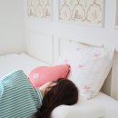 기능성 숙면베개 추천 템퍼베개 사용후기