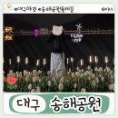 송해공원 제3주차장(2) | 튤립도 보고 야경도 보고! 대구 송해공원 밤 풍경 대공개