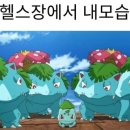 머슬엑스짐 이미지