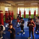 푸노키즈복싱 이미지