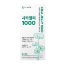 단비쿠키