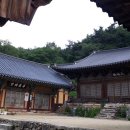생태숲펜션 Daum카페