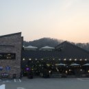 용문 애견 이미지