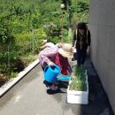 선우정경로당 네이버블로그