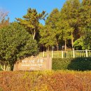 감천산림공원 이미지