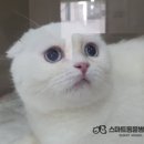 중곡동물병원 이미지