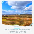 꽃뜰여행 이미지