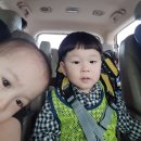 혜화목장 이미지