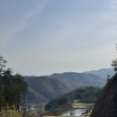 오로라그늘집