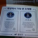 제일레코드사 이미지