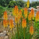 횃불농장 이미지