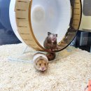 와우(양산점) 이미지