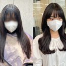 컴온올 이미지