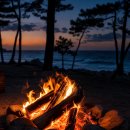 사천해변캠핑장