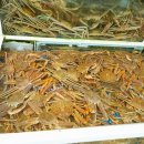 오나횟집 이미지