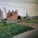 봉곡동124 이미지