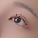 (주)아성다이소 외대역점 | 직장인 주말 일상 보내기