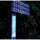 고산터널 등산로 이미지