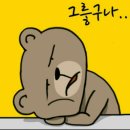 그러하다 이미지