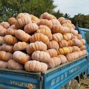 참샘골농장 이미지