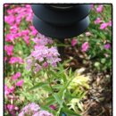 펜션빛뜨란 이미지