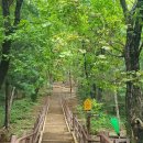 우면산3-9 이미지