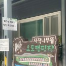 자작나무뜰 오토캠핑장 | 🏕️ 함양 자작나무뜰 오토캠핑장 후기｜개별 화장실·개수대 있는 타프존 최고!