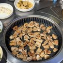 옹기종기생막창 | 수원 막창 맛집 친구의 또간집 인계동 오이시이 태영생막창