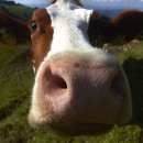 민수축산 이미지