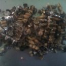 경남치과기공소 이미지