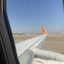 일본 삿포로·오타루·비에이 | 3박 4일 패키지 여행 후기 (노랑풍선)